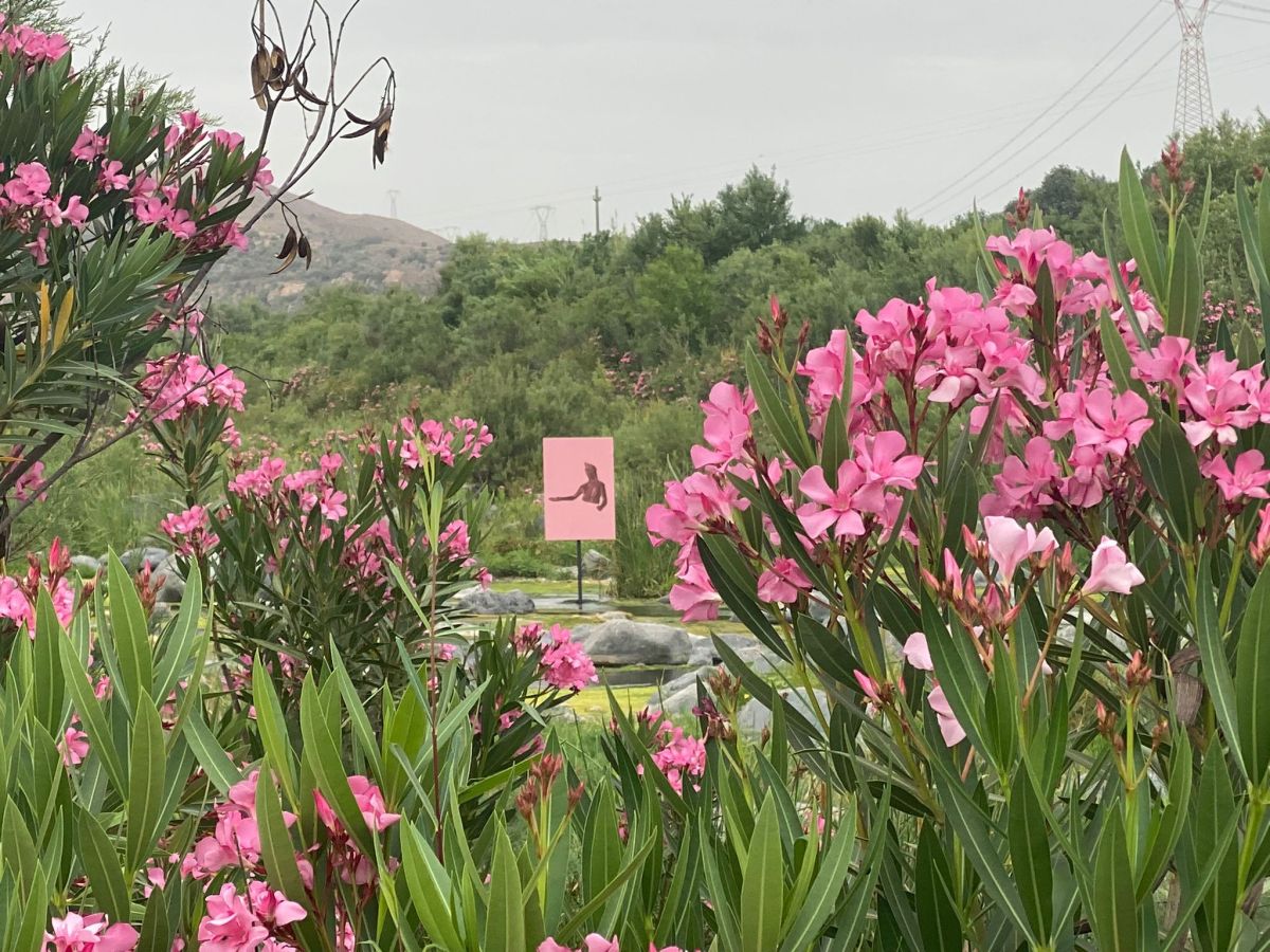 A Centuripe l’arte di Renato&nbsp;Leotta